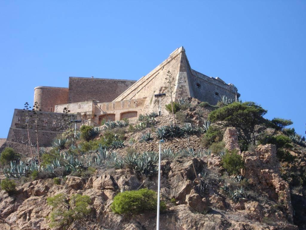 ORAN SANTA CRUZ (123).jpg